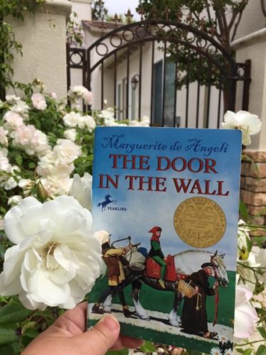 Book review of The Door In The Wall with author Elizabeth Van Tassel