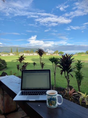 Desktop in Hawaii, Kauai, with author Elizabeth Van Tassel