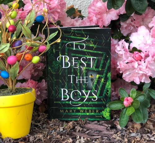 To Best The Boys giveaway with flowers and author Elizabeth Van Tassel
