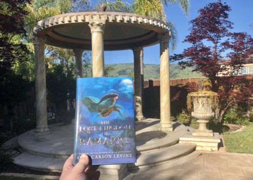 The Lost Kingdom of Bamarre book review with author Elizabeth Van Tassel